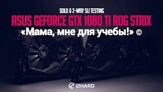 &laquo;Мама, мне для учебы!&raquo; или Одиночное и 2-way SLI тестирование ASUS GeForce GTX 1080 Ti ROG STRIX