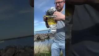You don't need to change in a dirty bathroom anymore🤢🥲 #diving #shorts #ocean