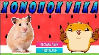 ХОМОПОКУПКА |   &bull;Apollinaris &bull;