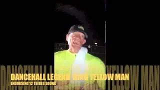 YELLOW MAN ENDORSING 12 TRIBES SOUND