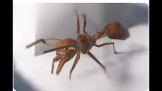 Ant Keeping Simulator with some leafcutter ants