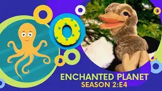 ENCHANTED PLANET TV S2:E4 Feel optimistic, hopeful & grateful. Ostriches, Oceans, Octopus & Origami.