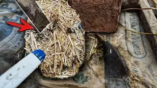 The Dirtiest Hoof Ever &ndash; Watch the Amazing Clean-Up!
