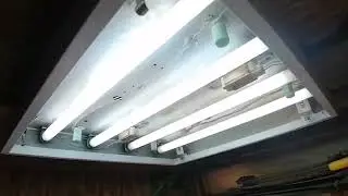 Люминесцентная лапма.