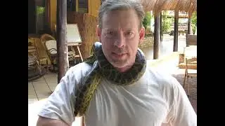 Brazil's Northern Pantanal