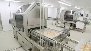 Вакцинация в органическом инкубаторе