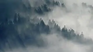 Feeling &ldquo;Blurghhh&rdquo;? This Might Be Why......