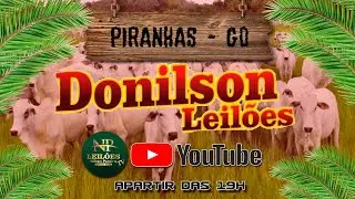 DONILSON LEILÕES - PIRANHAS GOIAS 04/02/2026