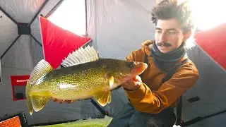 Ice Fishing for Quinte Gold with @apbassing