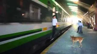 TREN 265 INGRESANDO A LA BANDA CON LA GM GT22cw 9021 DEL DIA SABADO