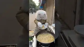Street Food: A Persian Cat selling Kitsune Udon (Udon with Fried Tofu) at Village Cow Path