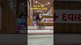 koi isse bhi dolo 650 dila do 🤣🤣 #shorts #viral #trending #funnyclipdog