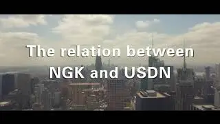 Token EN 18The relation between NGK and USDN