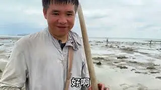 挖沙虫靠的就是熟能生巧，就像我吃了几十年的饭，饭熟没熟，我一尝就知道。 #海边生活才够浪 #治愈又温馨的乡村生活  #赶海