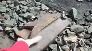a nice walk