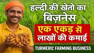 Haldi Ki खेती Ka का बिज़नेस | 1 Ekad Se लाखों की कमाई | Turmeric Farming Business in Hindi&rdquo;| Thaat