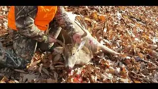 Dad & Son Score 2 Nice Bucks Within 15 Minutes Apart During 2023 WV Buck Season