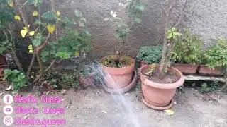 روتيني اليومي ❤️🌸🌸🌸🌺🌹🥀 rotini lyawmi