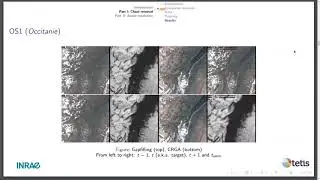 R&eacute;mi Cresson -- Time series images pre-processing applications with deep learning
