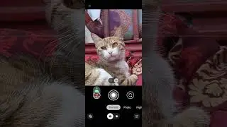 Pixel 6A Portrait Camera Test Review 2025