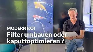 Wann ein Filterumbau Sinn macht  | Modern Koi Blog #7830