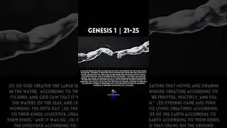 GENESIS 1 | 21-25 [21]