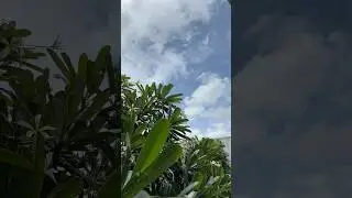 🤍🤍🤍#love #sky #nature #youtubeshorts #bangalore #clouds #weather #timelapse #trending #viralvideo