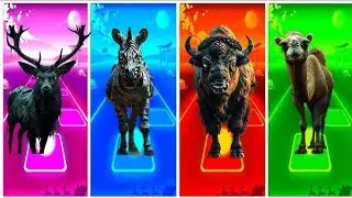 Zombie Rooster🐓🆚Zombie Donkey🫏🆚Zombie Camel🐫🆚Zombie Cow🐄 | Tiles Hop Animal