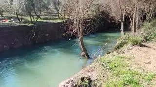 Sendero junto al río, naturaleza y paz (sin música)