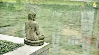 🔴Self Reflection Meditation Music , mindful attention , meditative Soul deep reflective thought