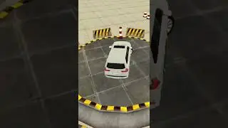 Prado Car Parking game me level 43...