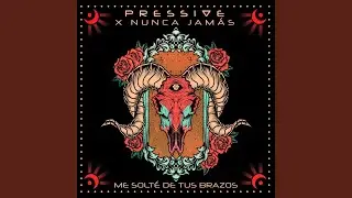 Me Solté de tus Brazos