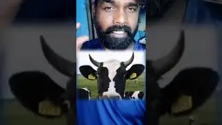 #creativity #viral #illusion #telugu #illusionreels