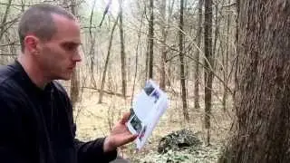 Identification and uses of - Eastern red cedar