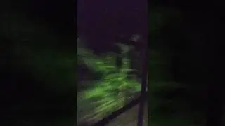 চাপাই হয়ে রহনপুরগামী মহানন্দা মেইল।#bangladeshrailway #shorts #foryou #hispeed #train #locomotive.