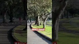 Almost sunset ⚠️. #australia #travel #trending #sydney #parks #today #morning #enjoy #viral #city