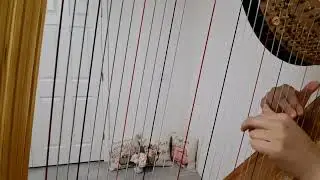 ❤️Method for Harp by Maria Grossi No.40: 65 Piccoli Studi Facili E Progressivi