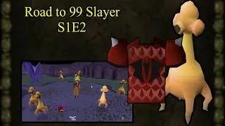 Oldschool Runescape Road to 99 Slayer - S1E2 Lucky at Dusties