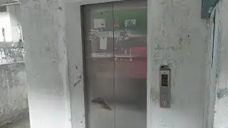 Replaced Canny Elevator at Sun Moon City Block 10, Paya Terubong, Penang