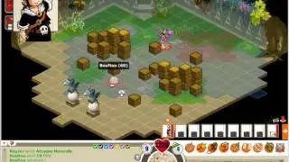 [DOFUS 1.29] Le Donjon Bouftou