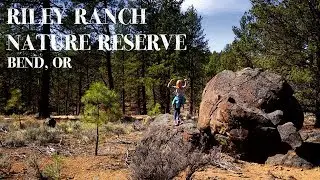 Riley Ranch Nature Reserve Hike - Bend, Oregon - Central Oregon Hiking Trail