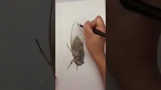 How to Draw An Impossible 3D Star Narrated Step By Step | Easy 3D illusion Drawing tutorials