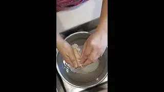 Cleaning/Preparing of Geoduck Seafood