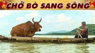 CHỞ BÒ SANG SÔNG🔥CỔ TÍCH VIỆT NAM 2026 🔥 CỔ TÍCH HAY NHẤT🔥PHIM CỔ TÍCH MỚI NHẤT🔥YÊU CỔ TÍCH 🔥CỔ TÍCH