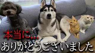 みなさま1年間ありがとうございました..
