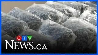 Police seize thousands of kilograms of illicit drugs