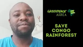 #SaveCongoRainforest: Bantu Kgaje 💚💜 Greenpeace Africa's Multimedia Designer