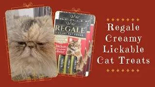 Вкусное лакомство для персидских кошек Regale с кремовой текстурой &ndash; веселый хаос!