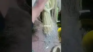 best fishing spots and fish #fishing #net #fishcurry #fyp