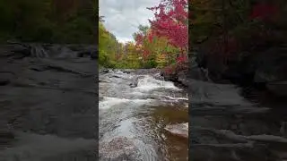 on the river during color change
